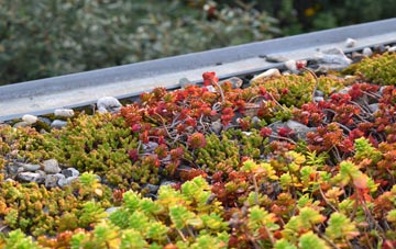 the cost of Griffins Hill green roof installation